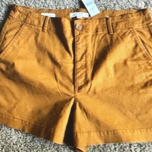 LOFT High Waist Brown Shorts